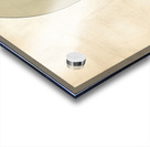 Something in the way it moves Acrylic print