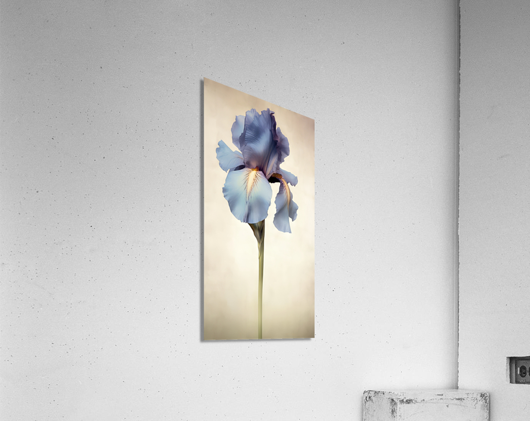 Blossom II Impression acrylique