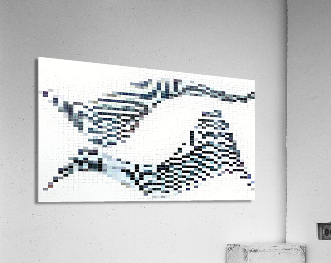 Sparsity Impression acrylique