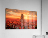 Strawberry Fields  Acrylic Print