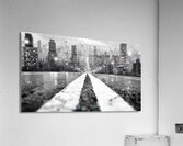 Share the Night  Acrylic Print