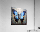 Butterfly Tinge  Acrylic Print