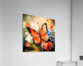 Butterfly Nectar  Acrylic Print
