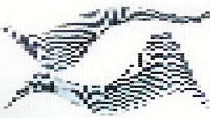 Sparsity