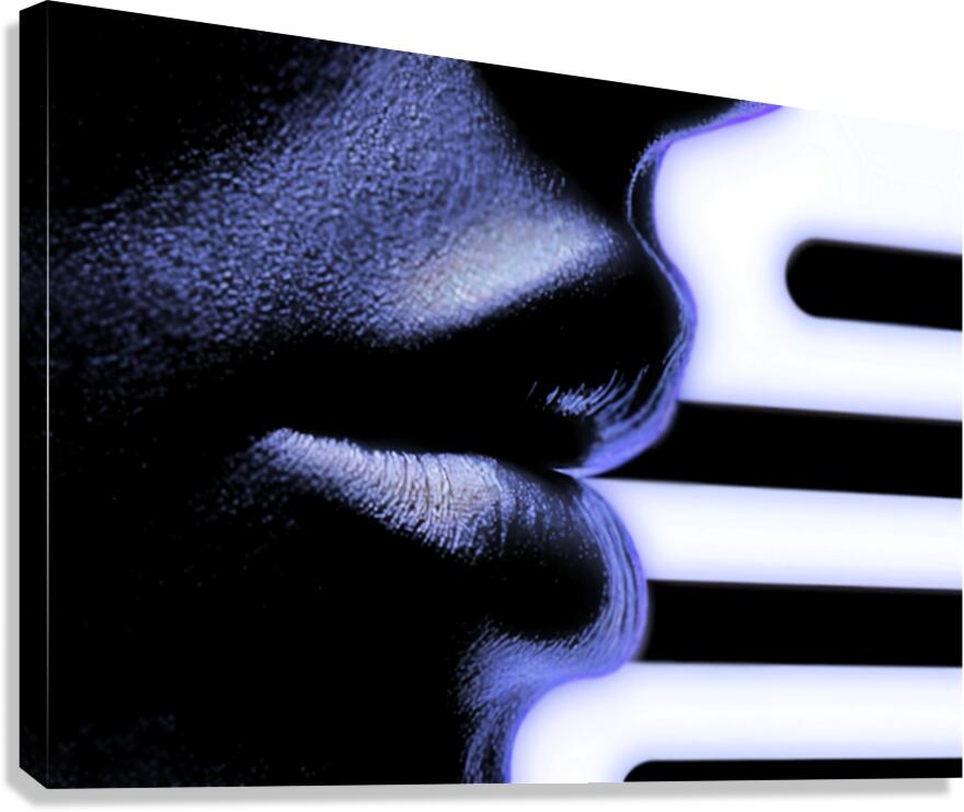 Seems Like a Lost Dream  Canvas Print