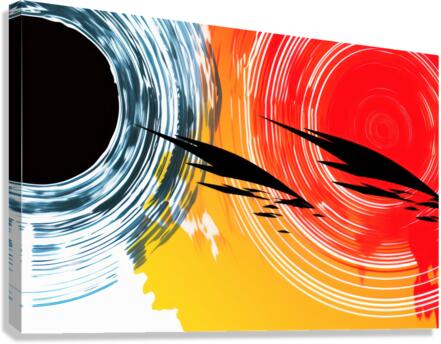 Series I Canvas Print