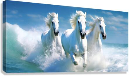Seahorses  Canvas Print