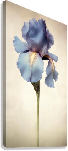 Blossom II Canvas Print