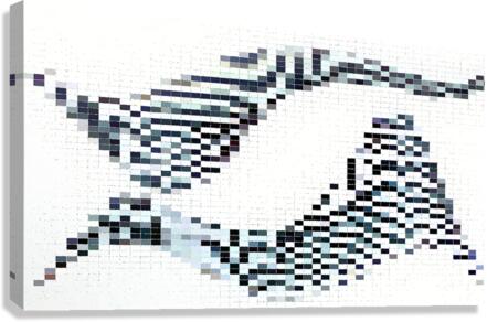 Sparsity Canvas Print