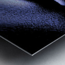 Seems Like a Lost Dream Metal print