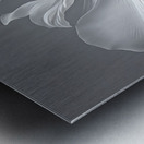 Living on a Breath Metal print