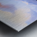 4 6 2 Metal print