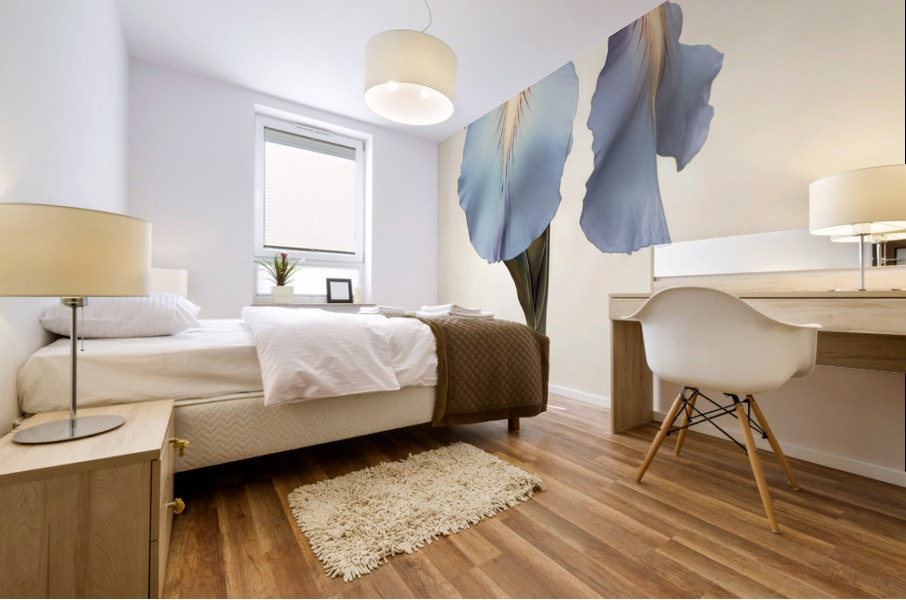 Blossom II Mural print