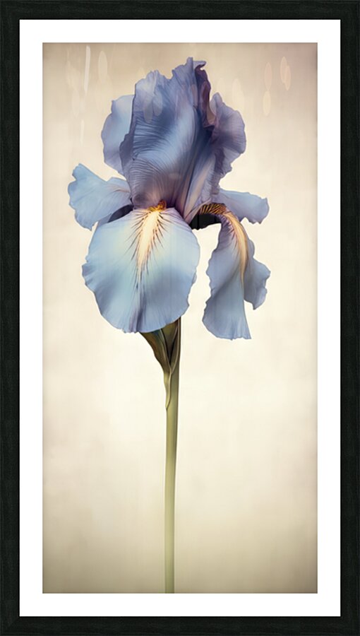 Blossom II Impression et Cadre photo