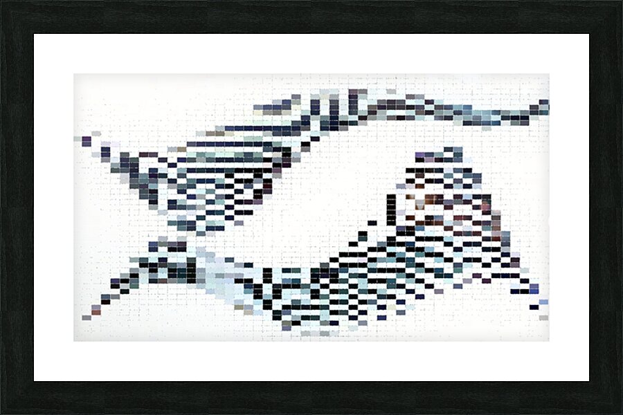 Sparsity Impression et Cadre photo