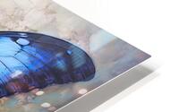 Butterfly Tinge HD Metal print