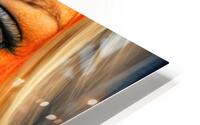 Mirror of the Mind HD Metal print