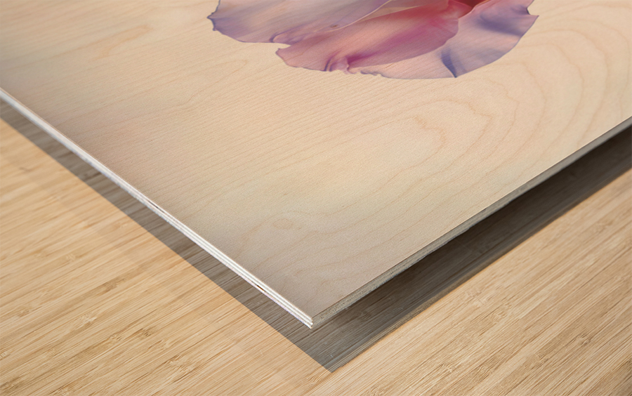 Blossom I Wood print