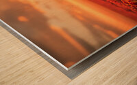Strawberry Fields Wood print
