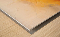 Limited Imagination Wood print
